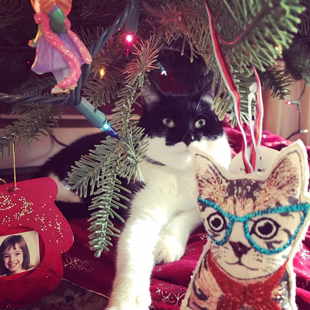 Meet your Posher, Beth